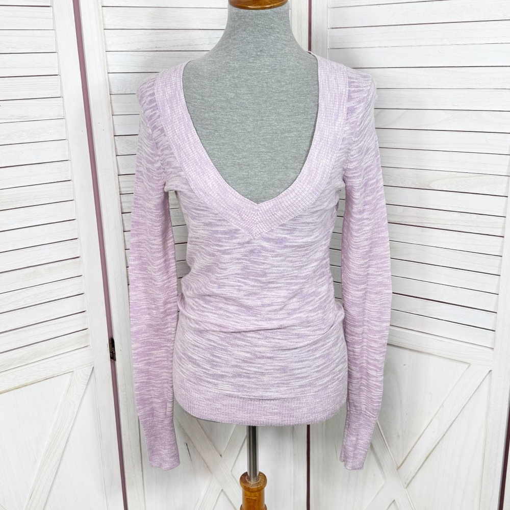 Express Y2K Deep V Neck Heathered Going Out Top Sweater‎ Lavender Purple Small